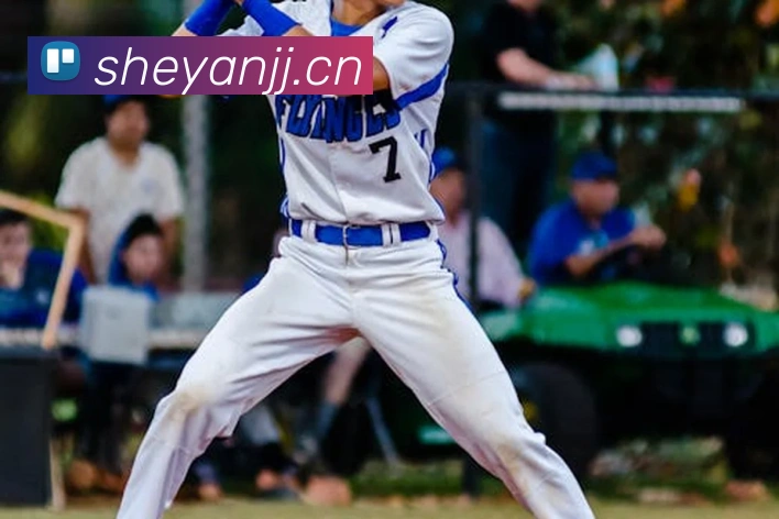 开云app在线入口平台生态图